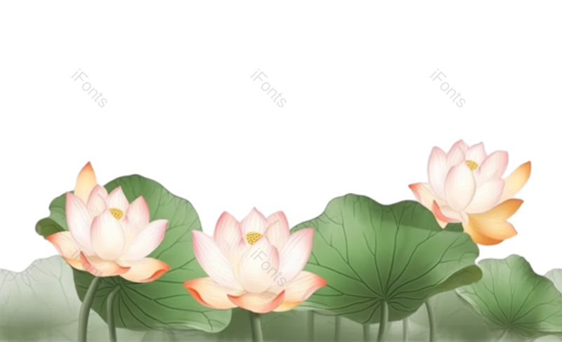 叶子图片,元素元素,清新PNG,荷花免抠素材